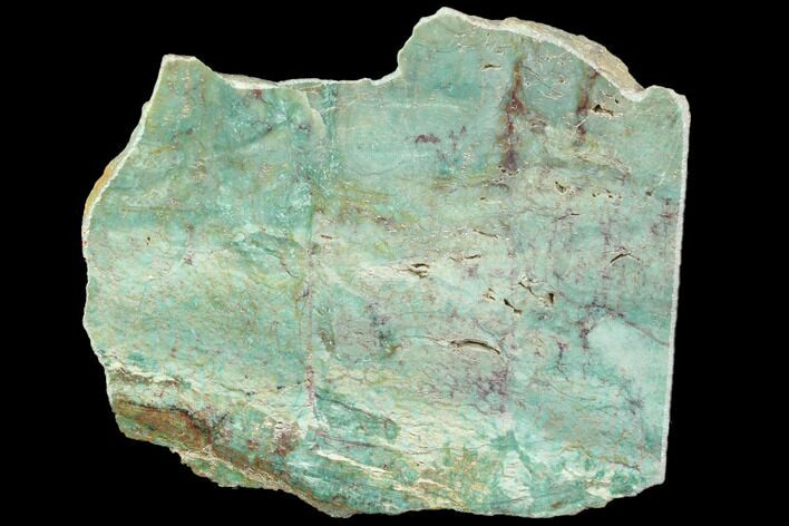 Polished Fuchsite Chert (Dragon Stone) Slab - Australia #89972